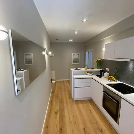 Zentrales Mit Grosser Moderner Kueche Eg2 Appartement Düsseldorf